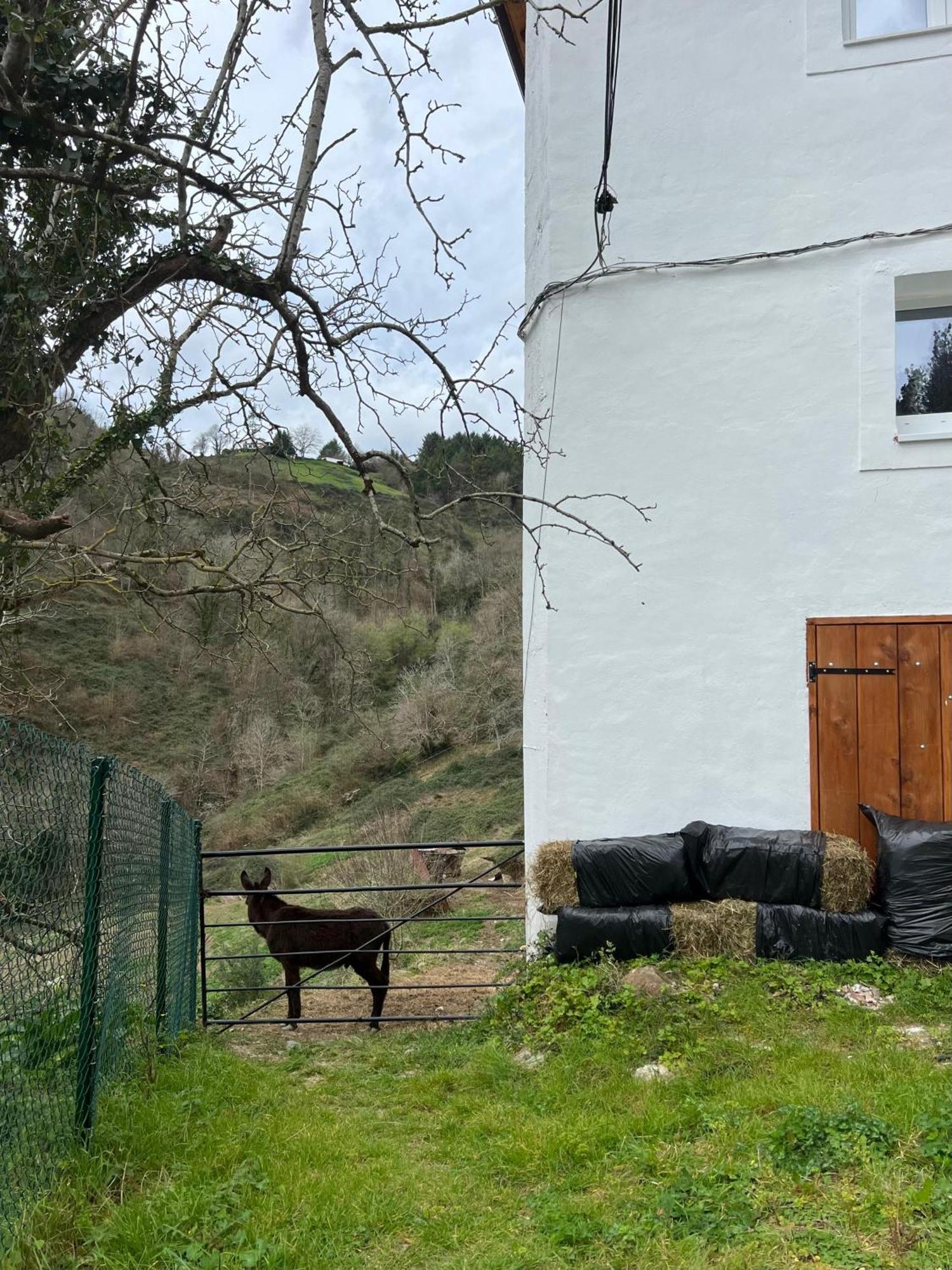 Fantastico Retiro Rural En El Corazon De Euskadi Appartement Elgoibar Buitenkant foto